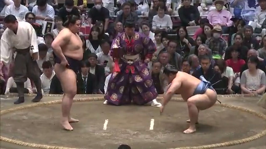 Yoshinofuji x Tobizaru